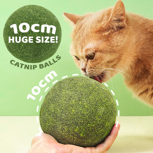 Huge Catnip Balls | Let your cat love it